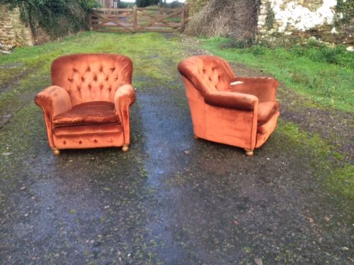 a pair of armchairs